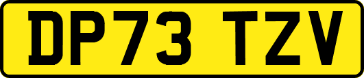 DP73TZV