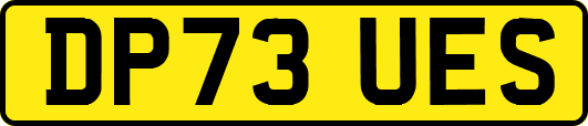 DP73UES