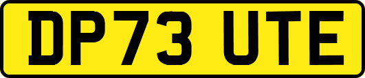 DP73UTE
