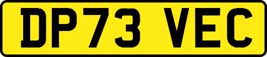 DP73VEC