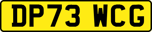 DP73WCG