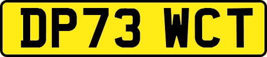 DP73WCT