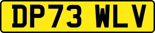 DP73WLV