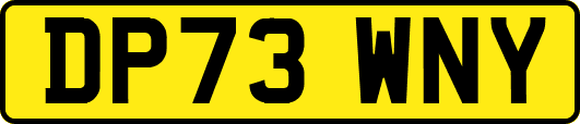 DP73WNY
