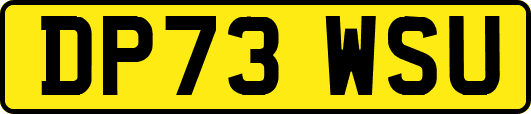 DP73WSU