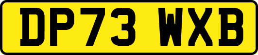 DP73WXB