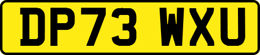 DP73WXU