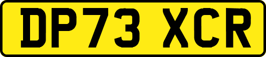 DP73XCR