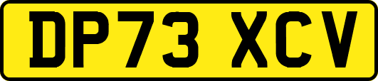 DP73XCV