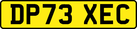 DP73XEC