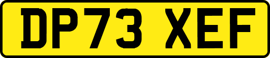 DP73XEF