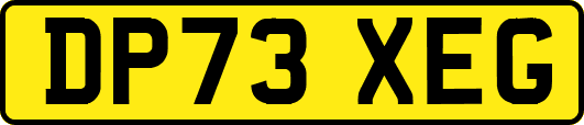 DP73XEG