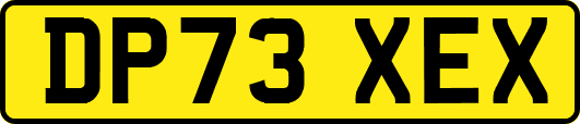 DP73XEX