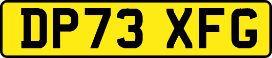 DP73XFG