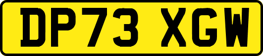 DP73XGW