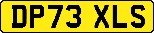 DP73XLS