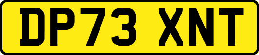 DP73XNT