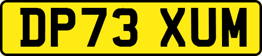 DP73XUM