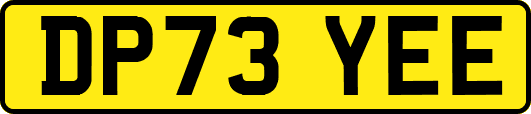 DP73YEE