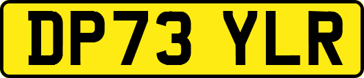 DP73YLR