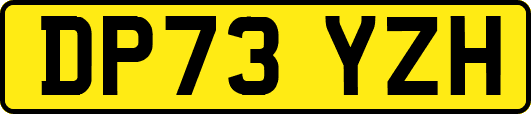DP73YZH