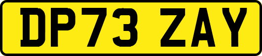 DP73ZAY