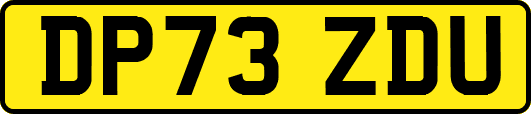 DP73ZDU