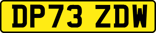 DP73ZDW