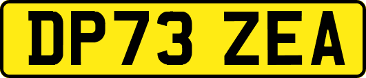 DP73ZEA