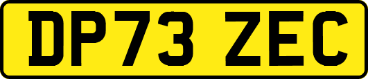 DP73ZEC