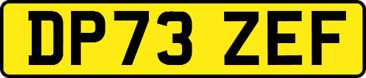 DP73ZEF