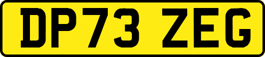 DP73ZEG