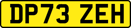 DP73ZEH