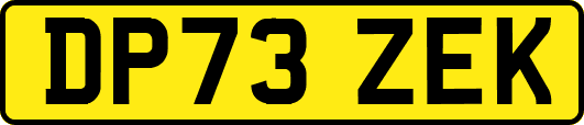 DP73ZEK