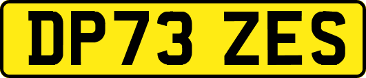 DP73ZES