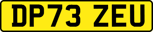 DP73ZEU