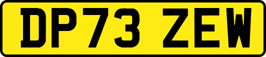 DP73ZEW