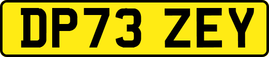 DP73ZEY