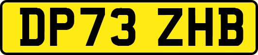 DP73ZHB