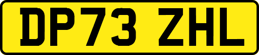 DP73ZHL
