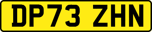 DP73ZHN