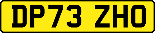 DP73ZHO