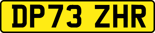 DP73ZHR