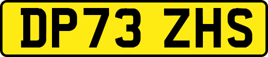 DP73ZHS