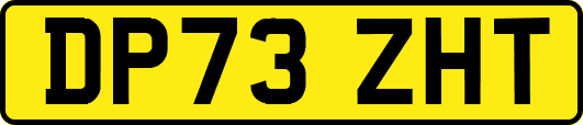 DP73ZHT