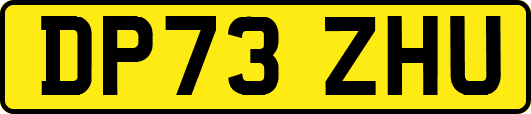 DP73ZHU
