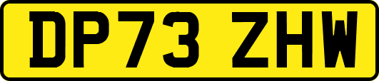 DP73ZHW