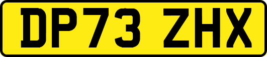 DP73ZHX