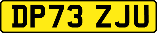DP73ZJU