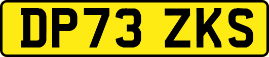 DP73ZKS